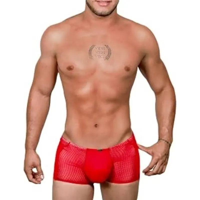 Boxer Andilex